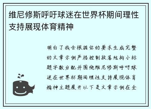 维尼修斯呼吁球迷在世界杯期间理性支持展现体育精神